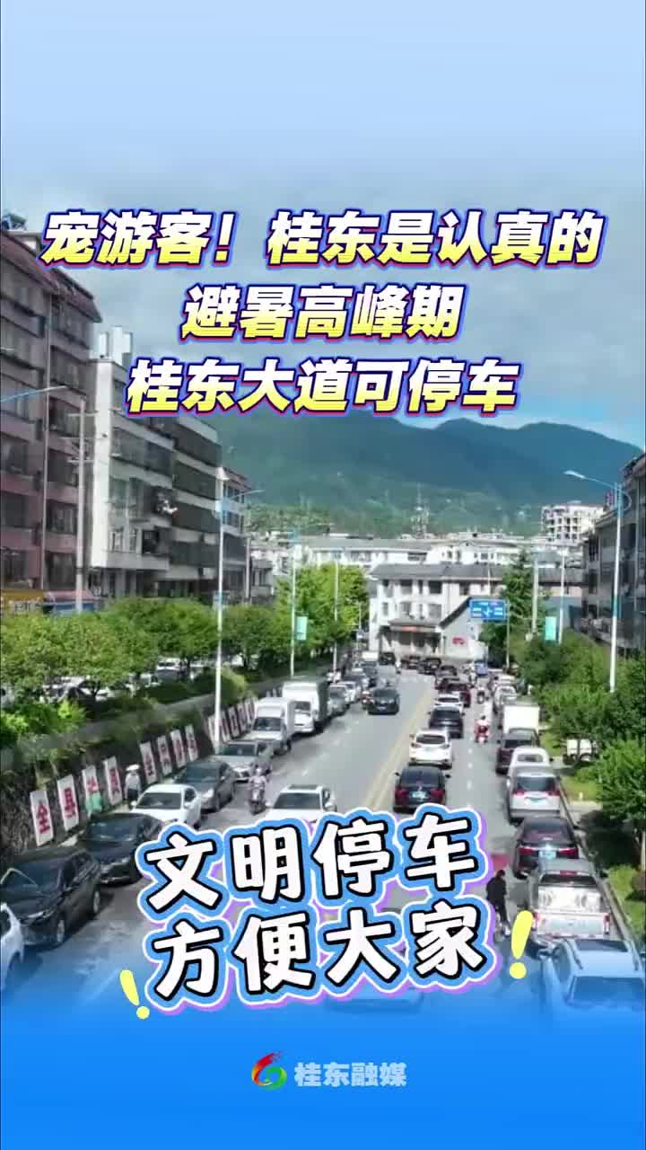 宠游客 桂东是认真的 | 避暑高峰期桂东大道可停车