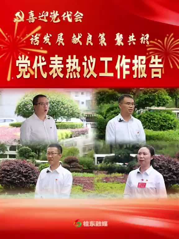 喜迎党代会 | 话发展、献良策、聚共识，党代表热议工作报告