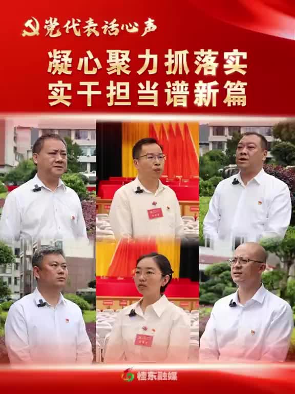 党代表话心声 | 凝心聚力抓落实 实干担当谱新篇