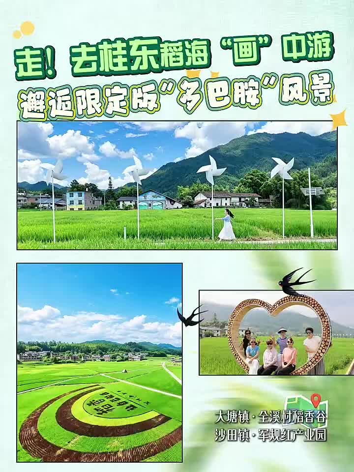 走！去桂东稻海“画”中游，邂逅限定版“多巴胺”风景