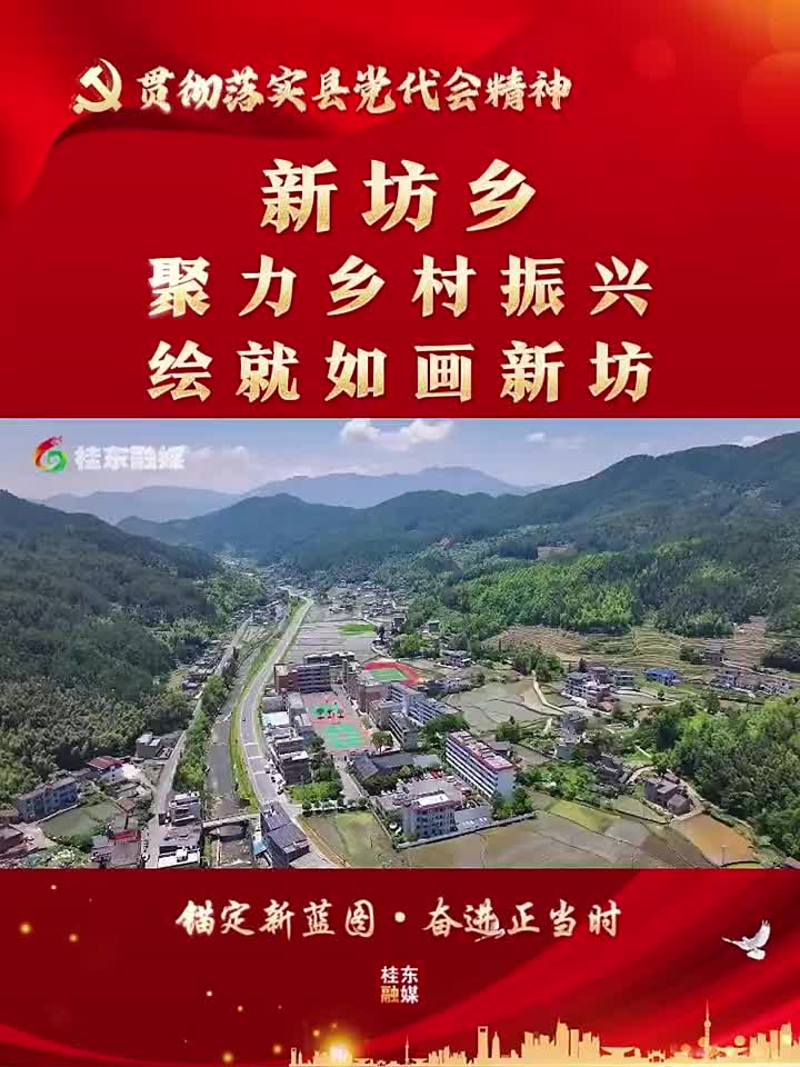 锚定新蓝图·奋进正当时 | 新坊乡：聚力乡村振兴 绘就如画新坊
