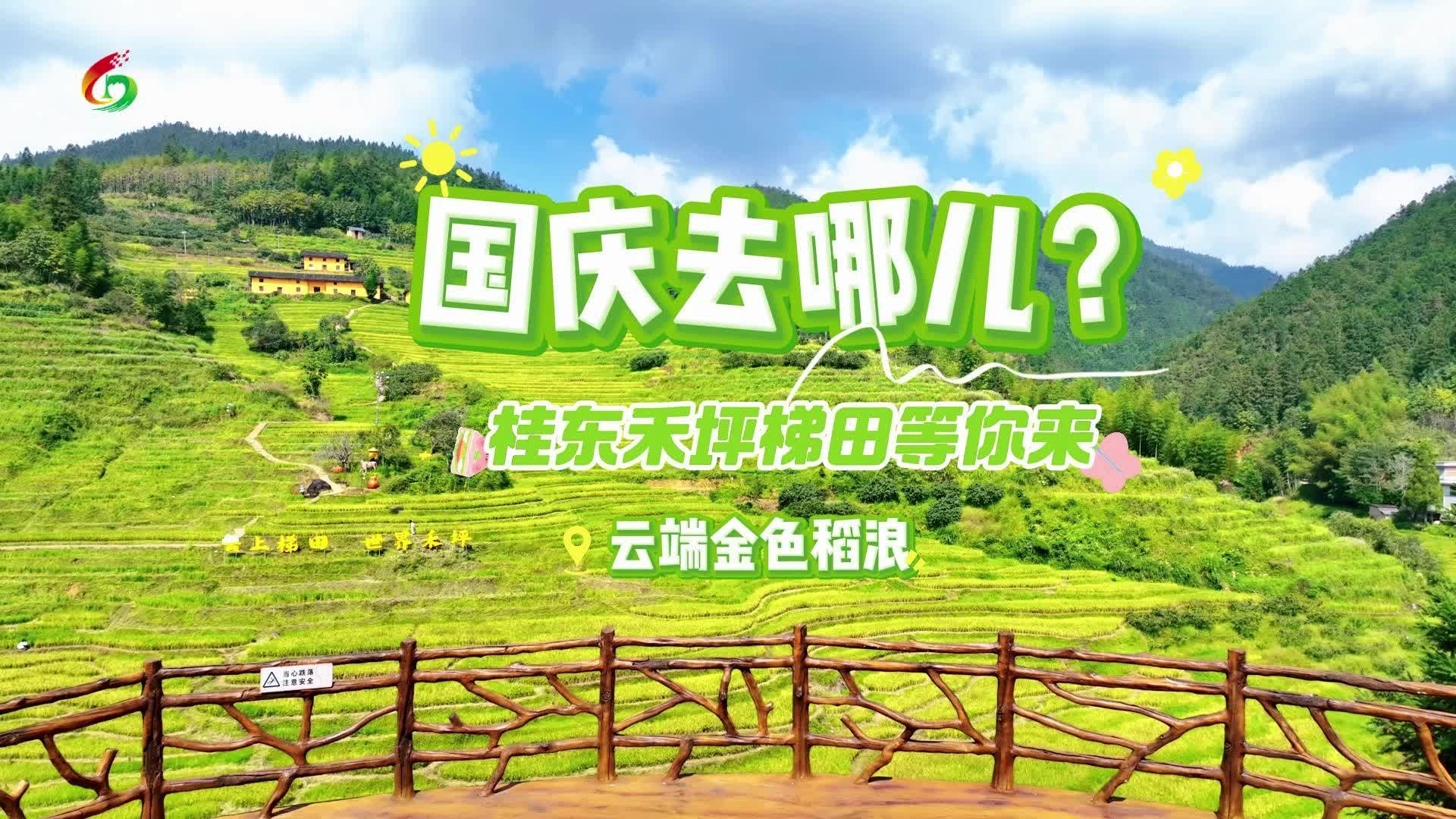 国庆去哪儿？桂东禾坪梯田等你来