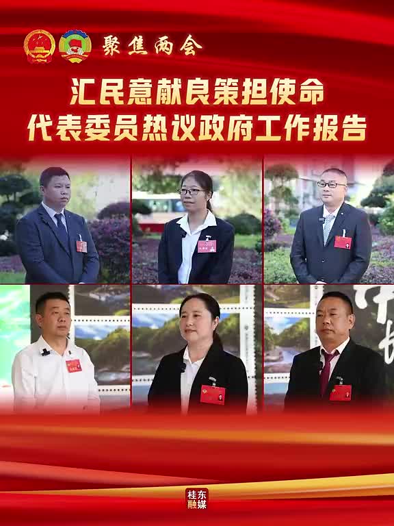 聚焦两会 | 汇民意献良策担使命 代表委员热议政府工作报告