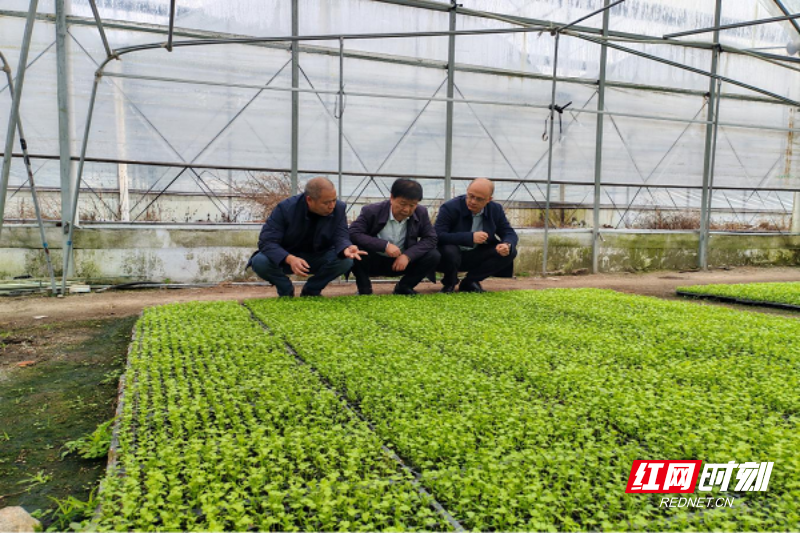 桂东县：清风拂绿海 监督促增收