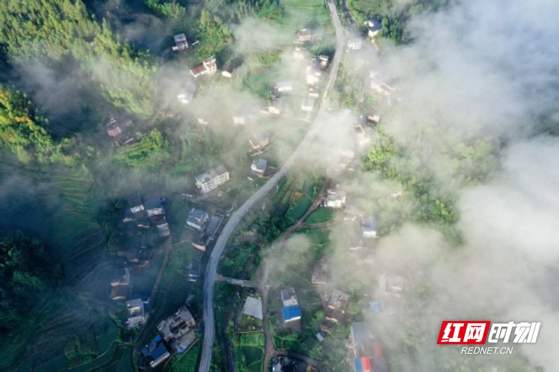 中国氧都 旅居桂东：生态绿满寿源长