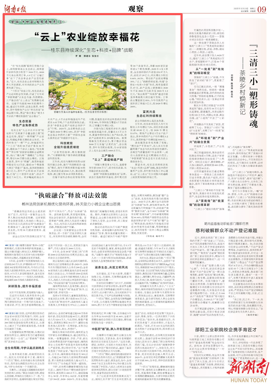 湖南日报·回眸“十四五” 发展看桂东（三）｜“云上”农业绽放幸福花——桂东县持续深化“生态+科技+品牌”战略