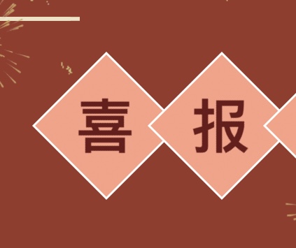 喜报！桂东这些工作获省市表彰！