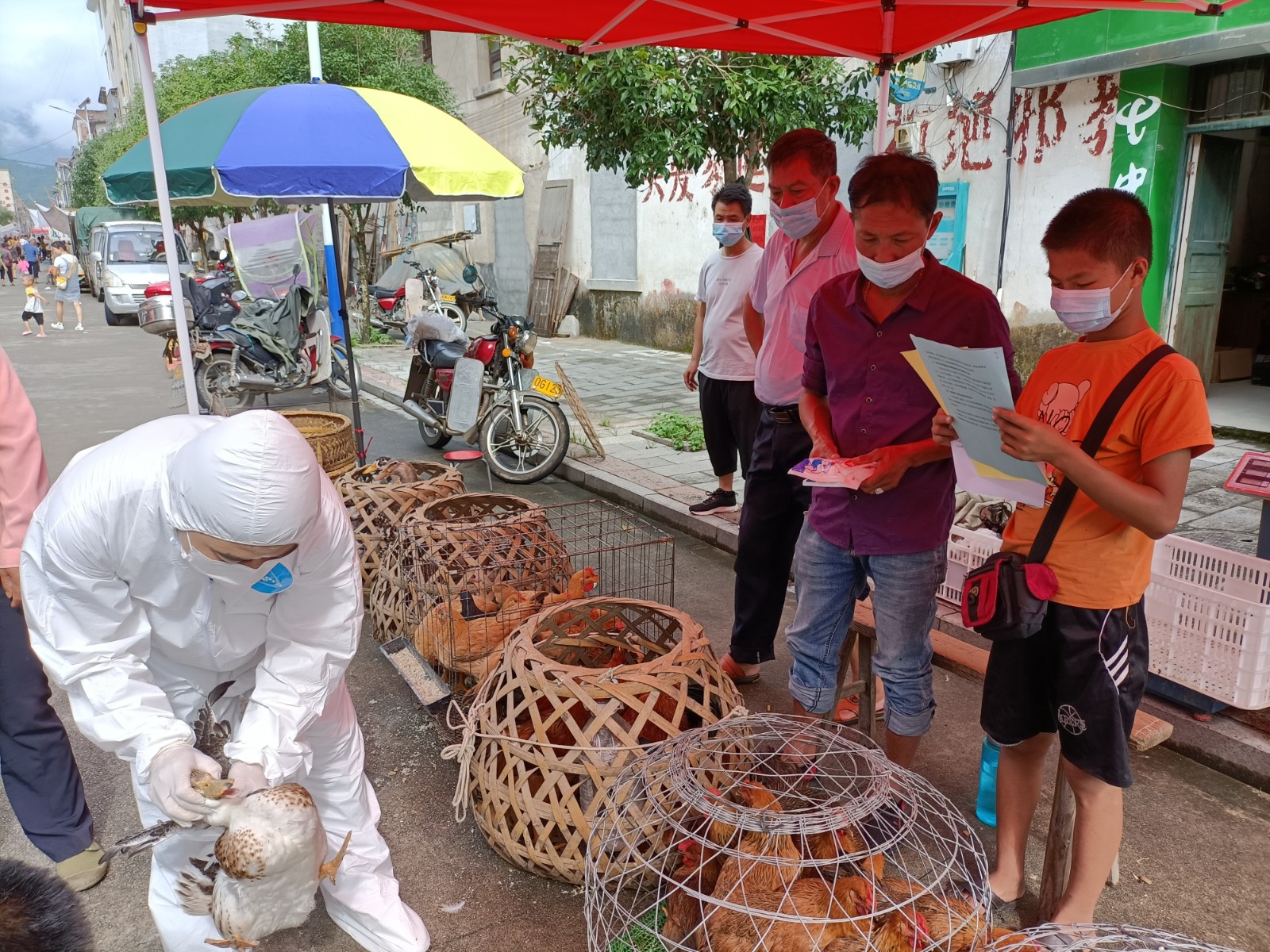 县畜牧水产事务中心：认真开展高致病性禽流感专项监测及技术指导服务