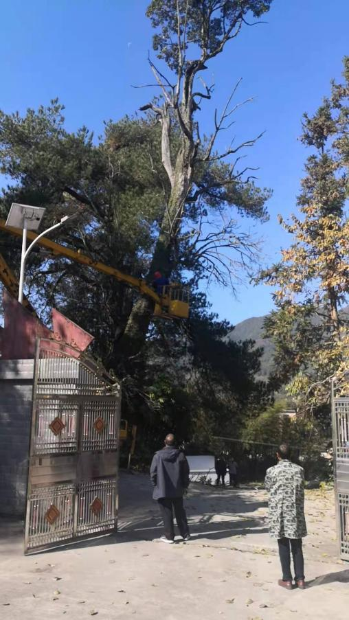 新坊乡：用伟人情怀塑景区形象