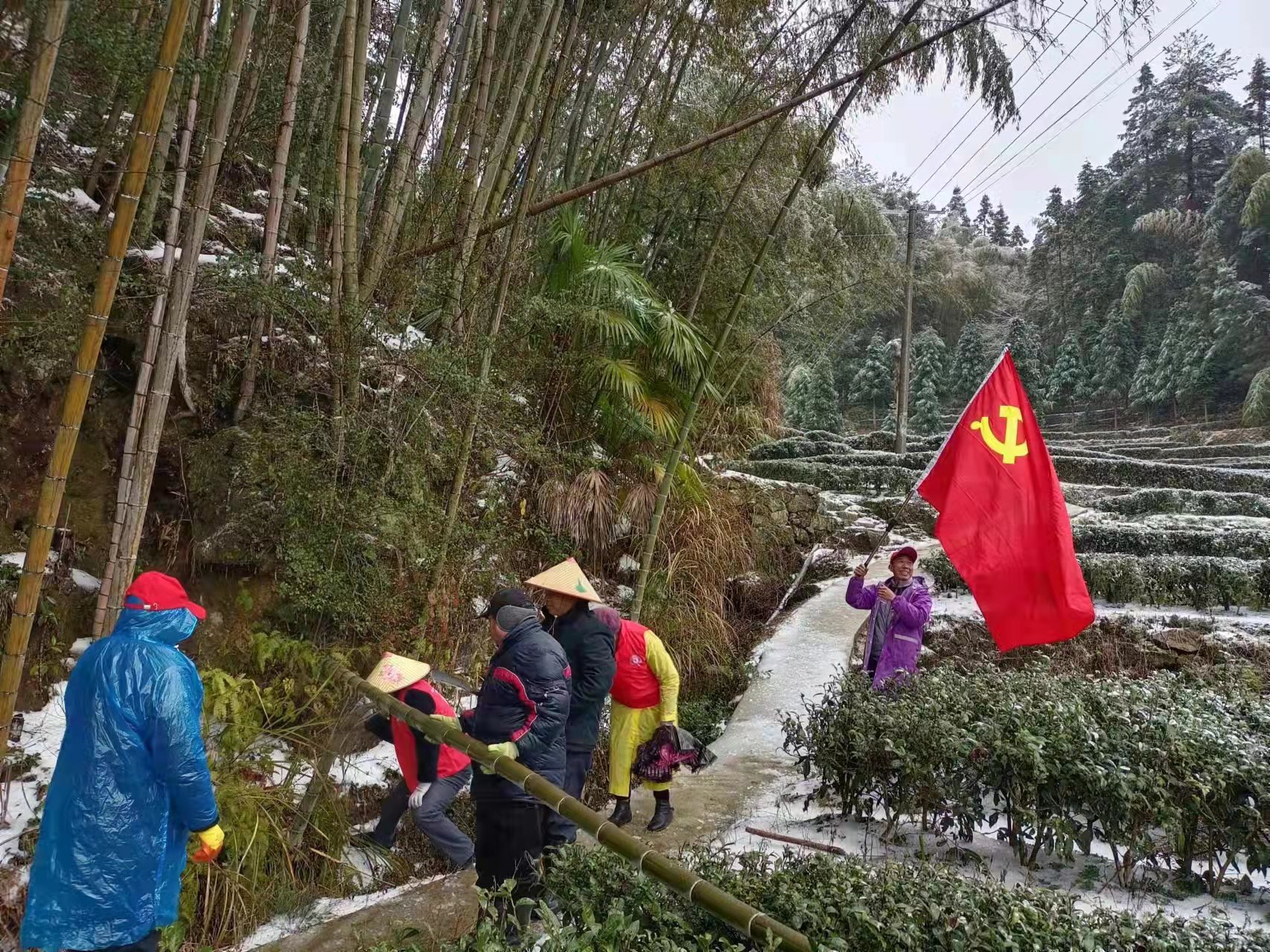 大塘镇：党旗高高飘扬在抢险救灾一线