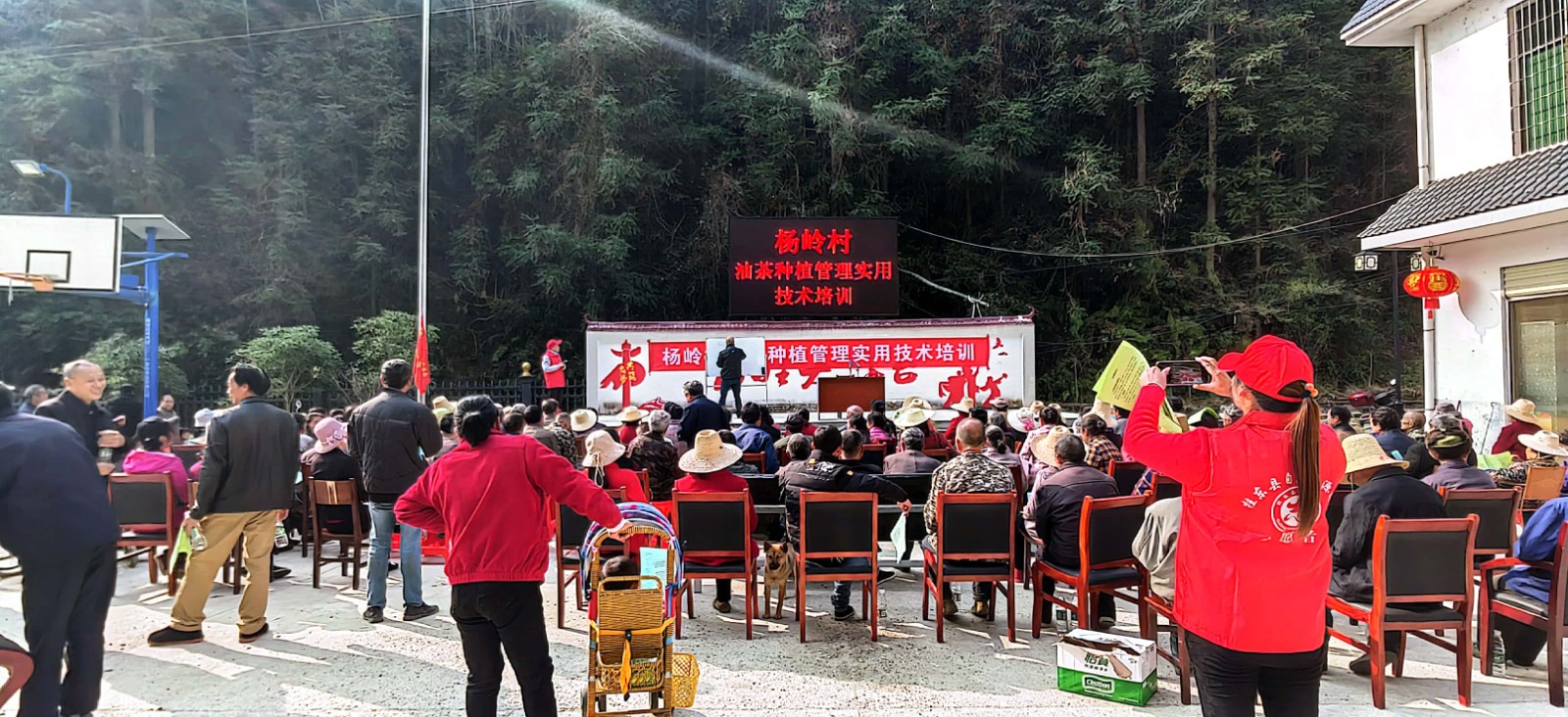 普乐镇杨岭村：油茶种植技术培训  助力产业振兴发展