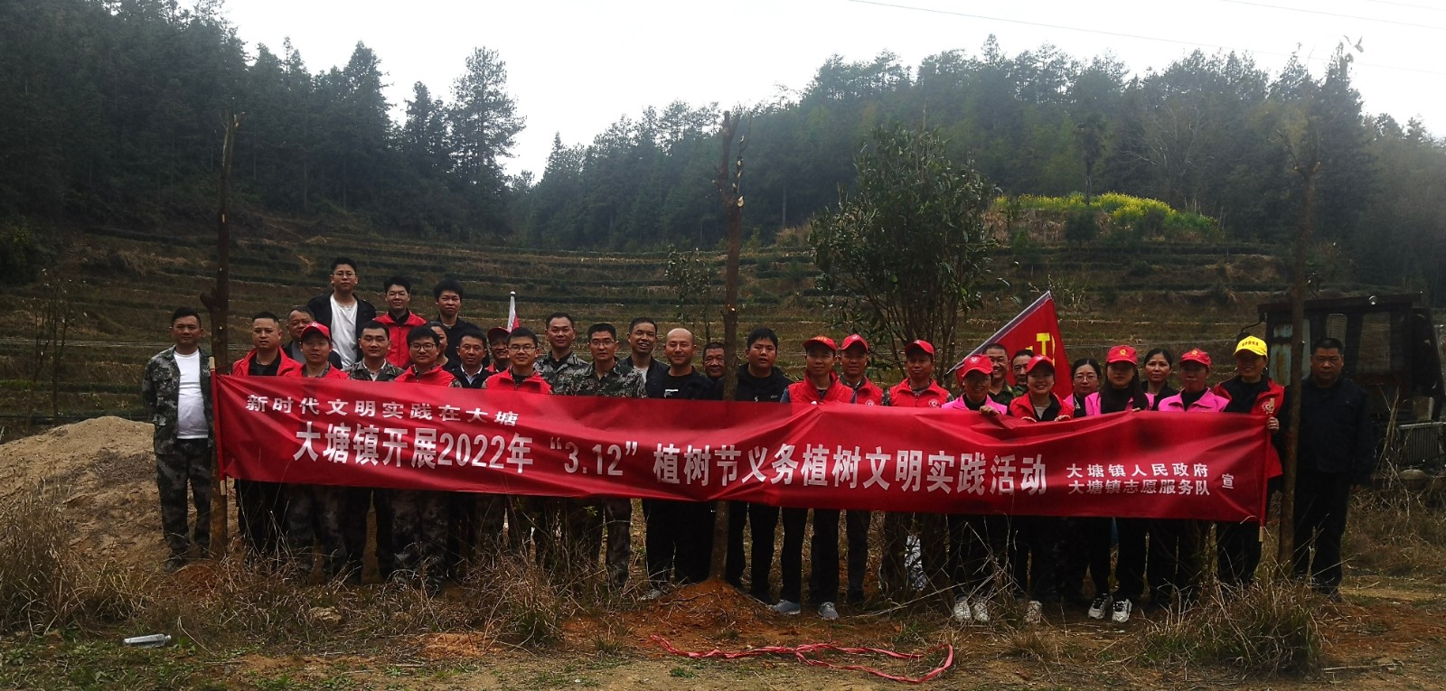 大塘镇：植树造林抚绿意