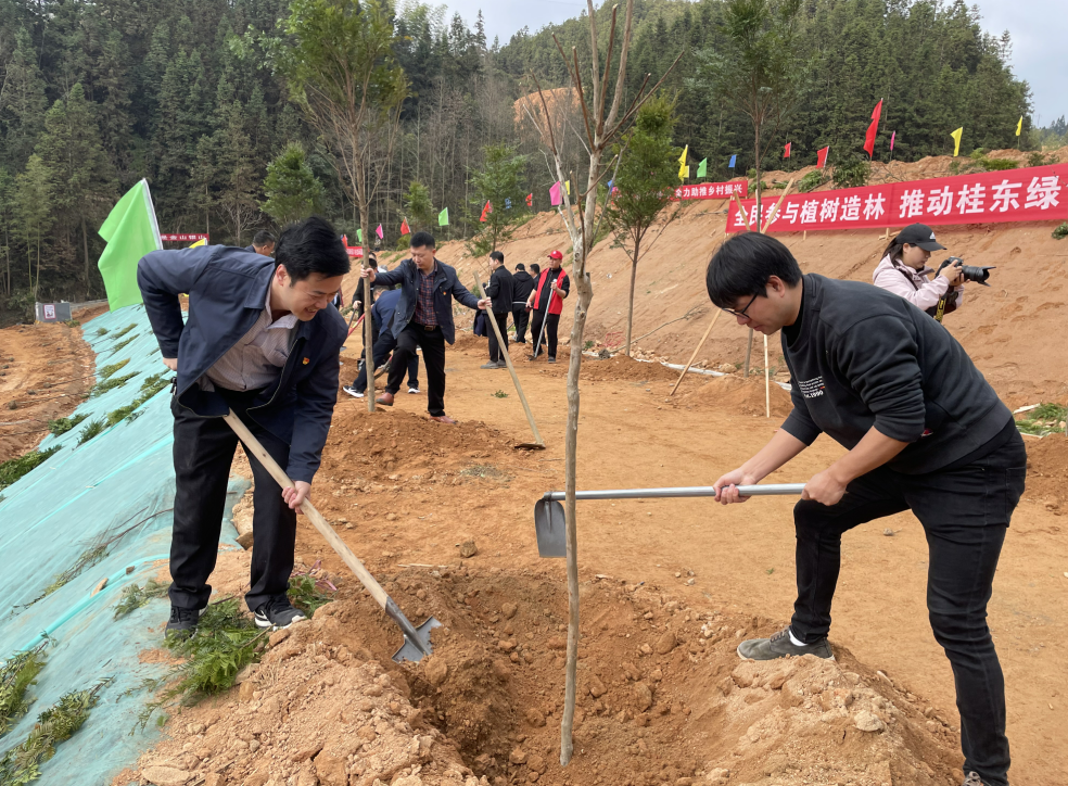 沤江镇：阳春三月植树节 乡镇干部添新绿