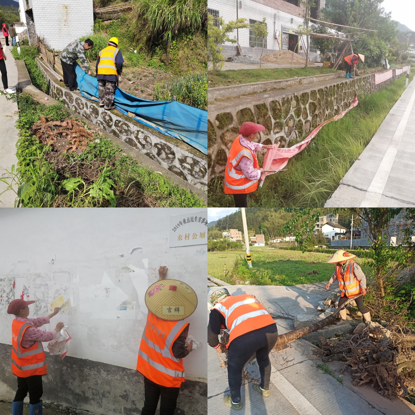 新坊乡新坊村：集中清理整治打造人居环境整治示范带