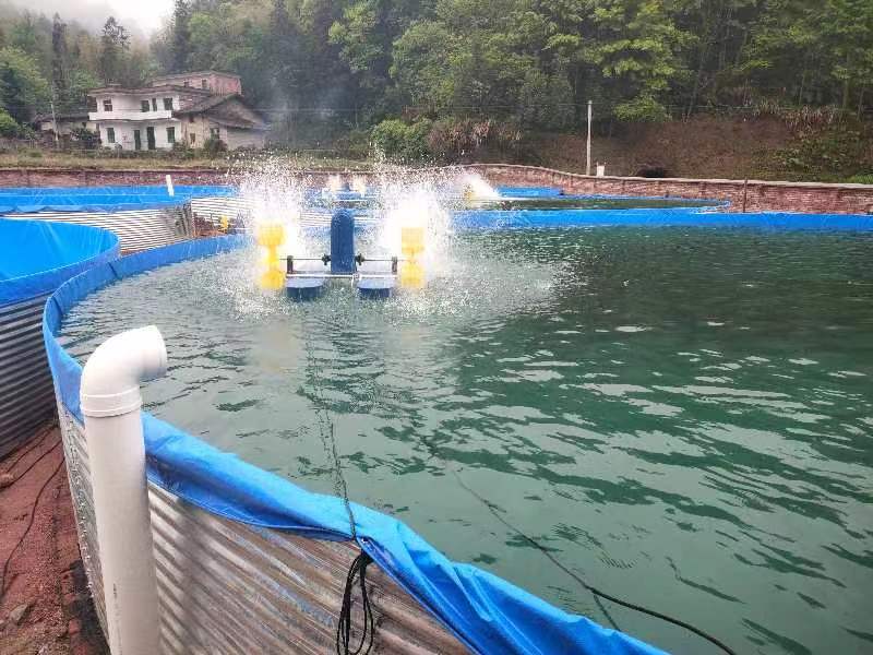 普乐镇齐云山村：党建引领鲈鱼养殖，拓宽村民增收致富路