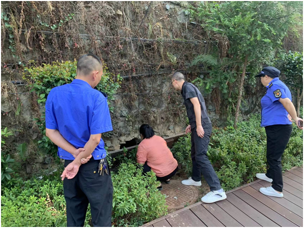 我县开展县城区污水管网混接乱接排查整治