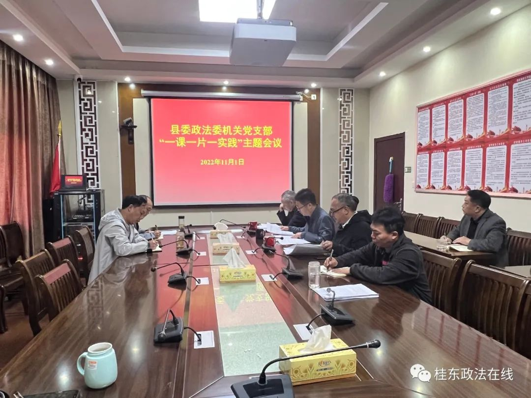 桂东县委政法委机关党支部开展“一课一片一实践”主题党日活动