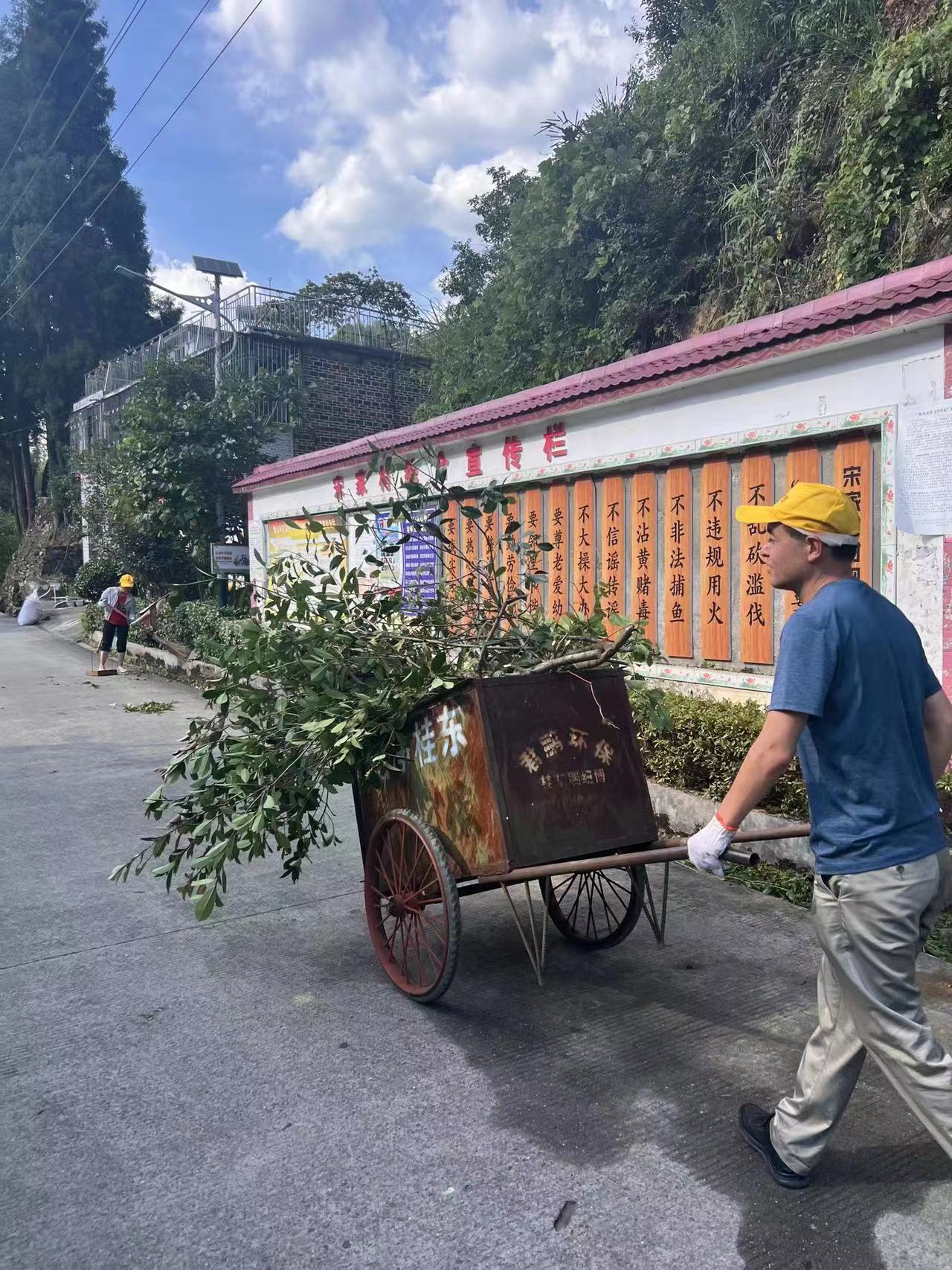 青山乡：宋家村开展环境卫生集中整治行动