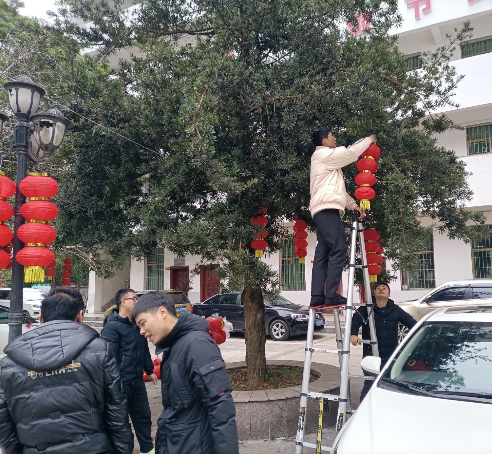 青山乡：喜迎新春挂灯笼 情暖乡村送祝福