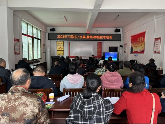 沤江镇三洞村：举办果树种植培训  助力农户增收致富
