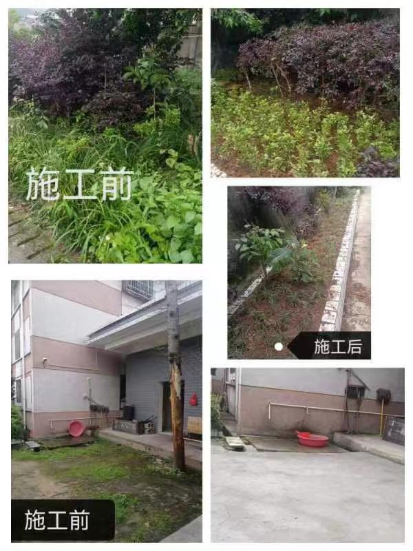 寨前敬老院：暖心打造宜居生活环境