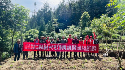 不误农时备春耕  “春苗”行动进行时