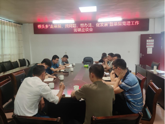 县领导调研桥头乡党建工作