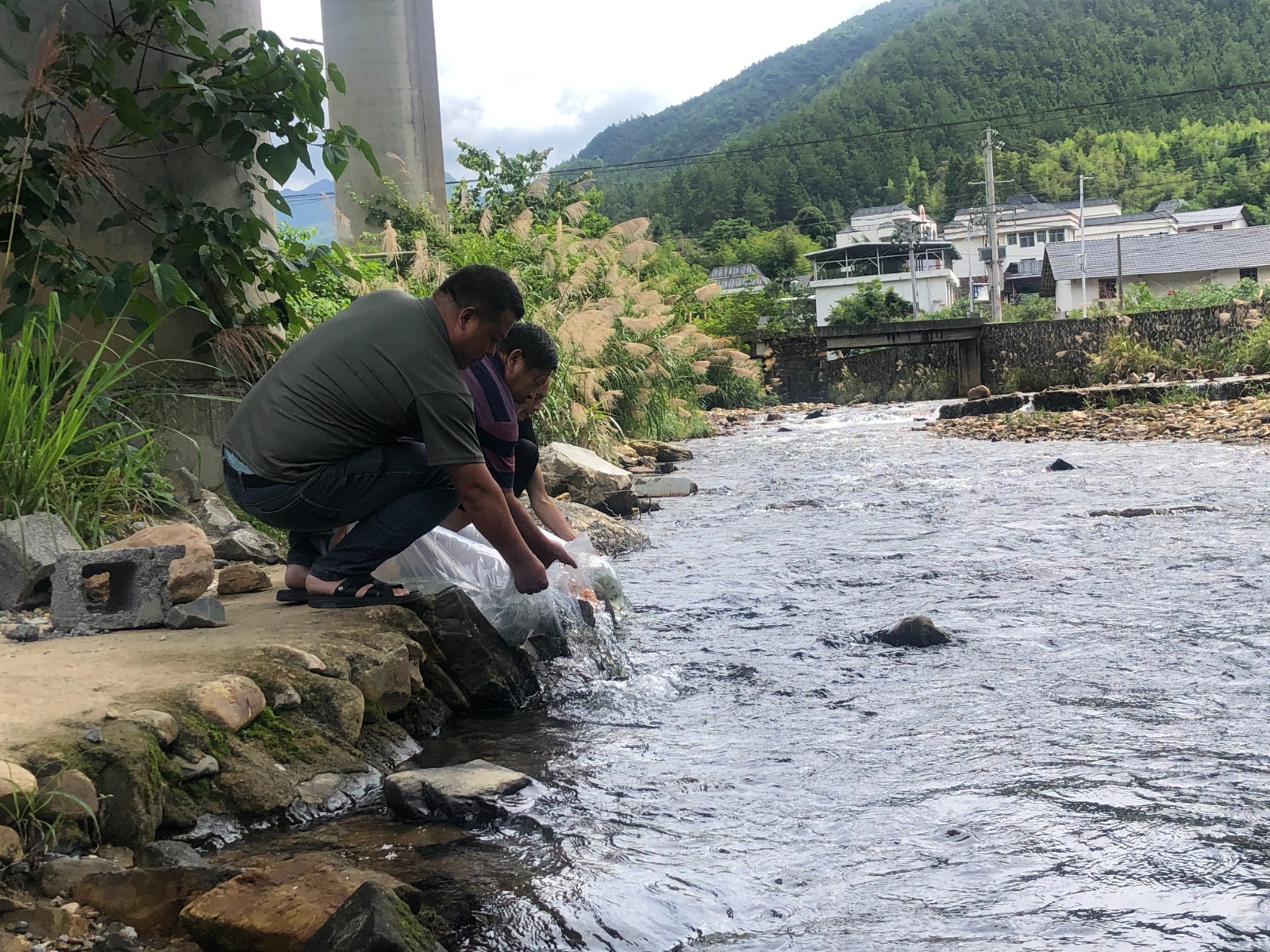 沙田镇：增殖放流2万余尾鱼苗