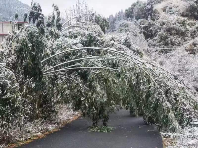 沤江镇：战冰雪除路障  护群众安全出行