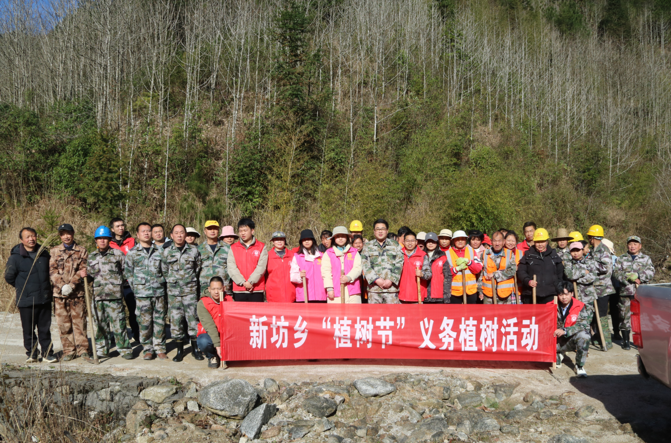 新坊乡:让青山常绿  共建如画新坊