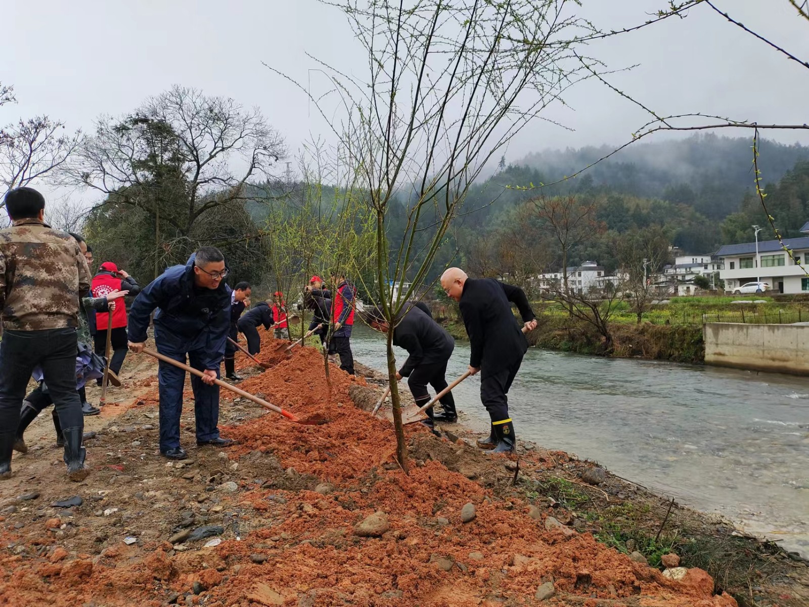 寨前镇：开展义务植树活动  助力“四类乡村”建设