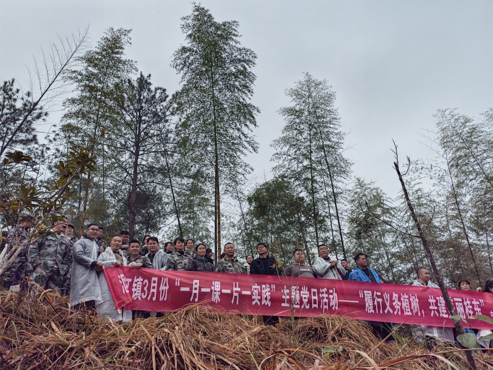 沤江镇：履行义务植树  共建美丽桂东
