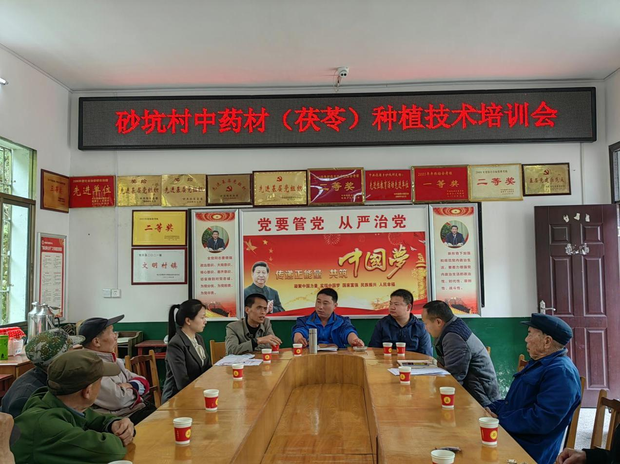 寨前砂坑：培育富民产业 助力乡村振兴