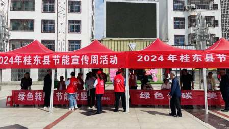 桂东开展2024年节能宣传周活动