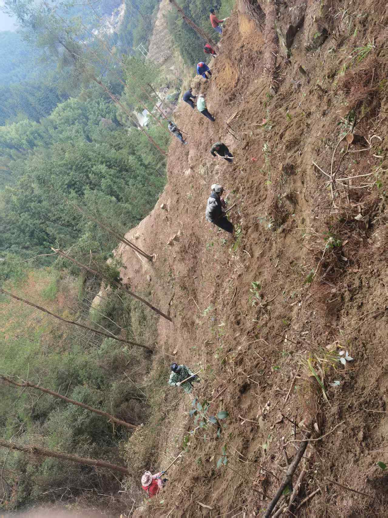 寨前镇中心村：多元产业奔赴乡村振兴新模样