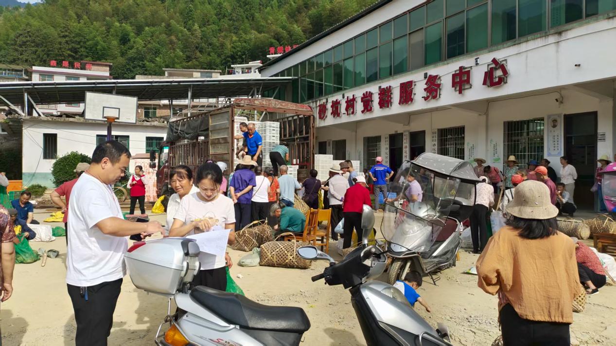 青山乡：红先锋聚力发展 产业助推振兴