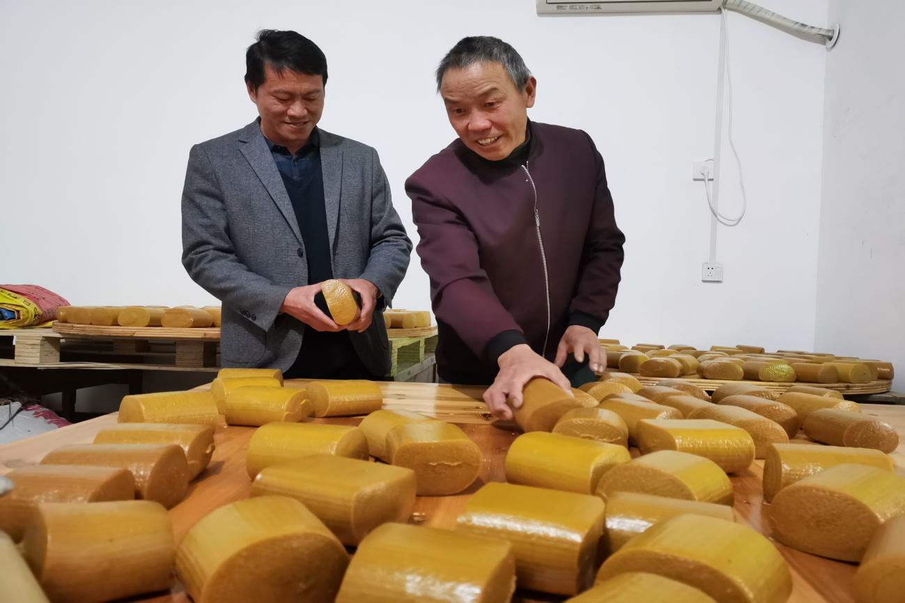 寨前镇：“四红”工程聚合力 乡村振兴展新颜