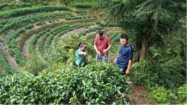 清泉镇：“五知”体系巧筑乡村“和谐堤坝”