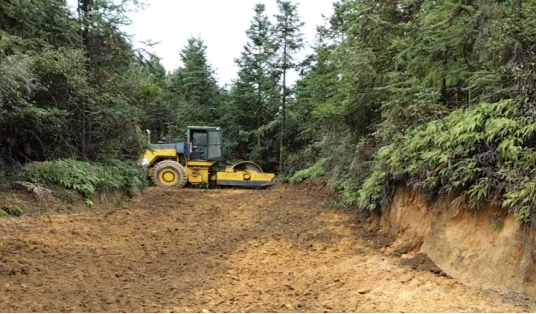 清泉里地村：干群齐心筑路  助力区域发展