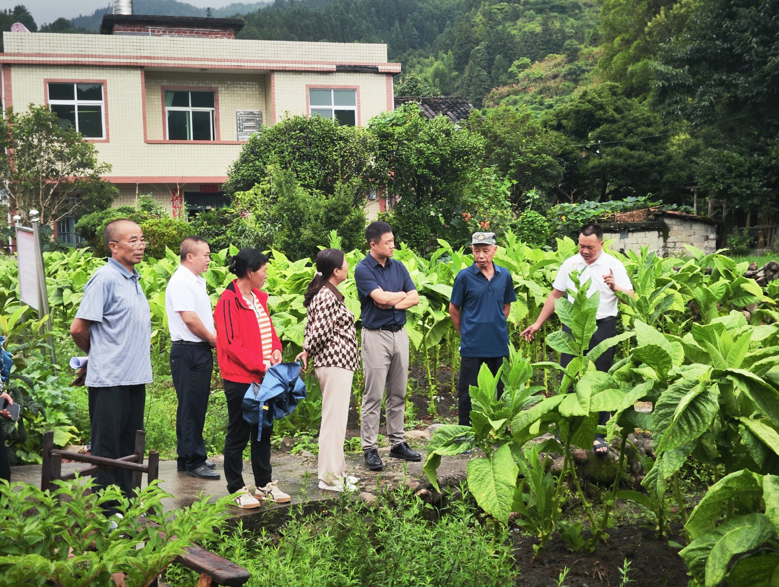 新坊乡：人大代表一线护航 产业发展再添动力