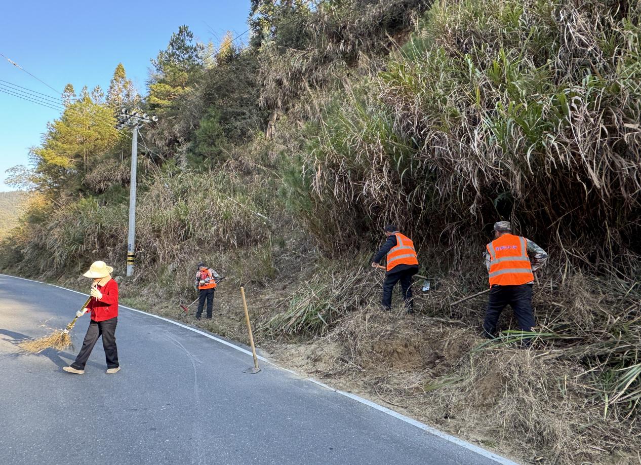 寨前镇：马上行动优环境 美化乡村迎新春